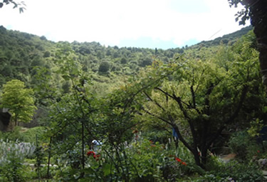 St. Guilhem Le Desert